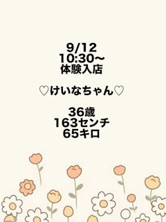 けいな