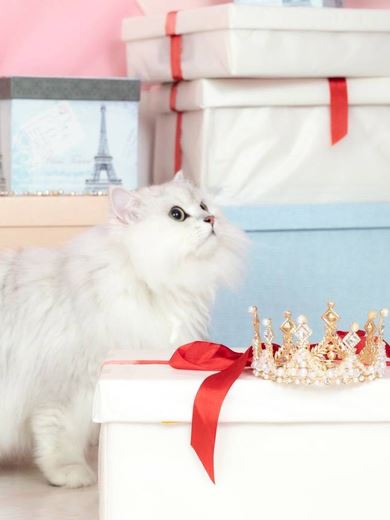 金津園のソープ「M」えんま/閻魔(22)のプロフィール写真