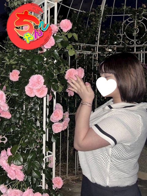 岐南町のぽっちゃりデリヘル「岐阜岐南各務原ちゃんこ」まい(19)のプロフィール写真