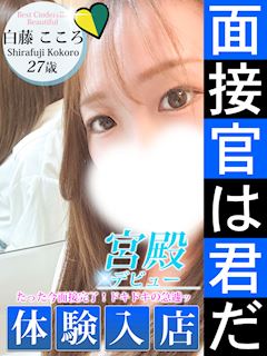 白藤 こころ