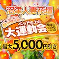 ピックアップ5