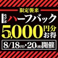 ピックアップ5