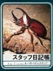 スタッフの秘密♪